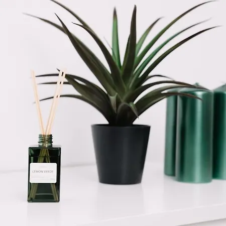 N3 Bright And Cosy Park Benicalap N3 Valence