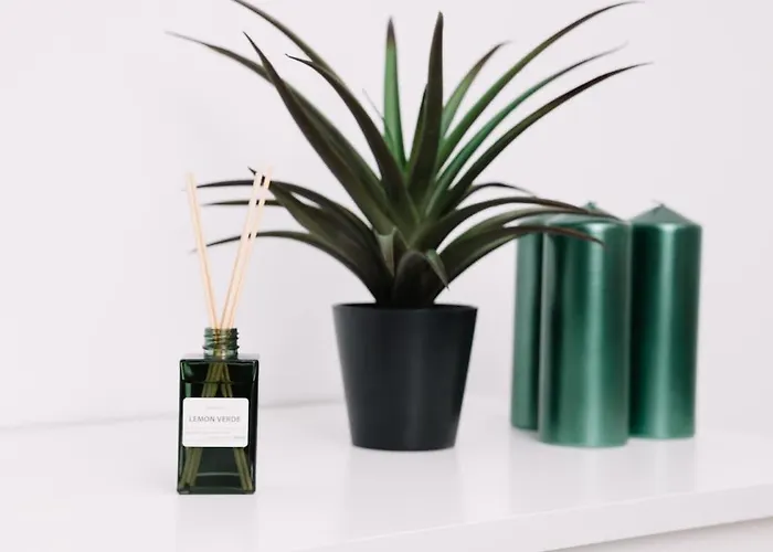 N3 Bright And Cosy Park Benicalap N3 Valence